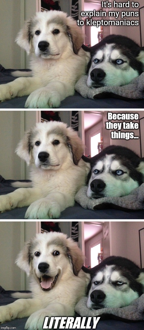 Bad pun dogs | It's hard to explain my puns to kleptomaniacs; Because they take things... LITERALLY | image tagged in bad pun dogs | made w/ Imgflip meme maker