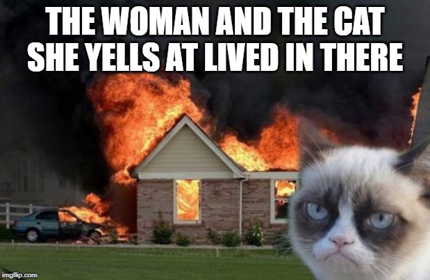 Let It Burn | THE WOMAN AND THE CAT SHE YELLS AT LIVED IN THERE | image tagged in memes,burn kitty,grumpy cat | made w/ Imgflip meme maker