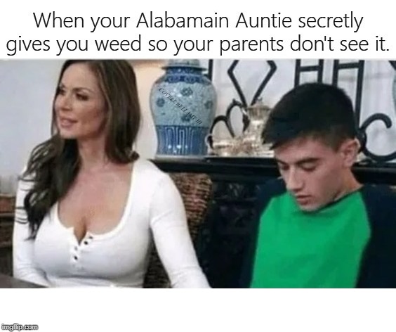 Alabamian Auntie | image tagged in alabamian auntie | made w/ Imgflip meme maker