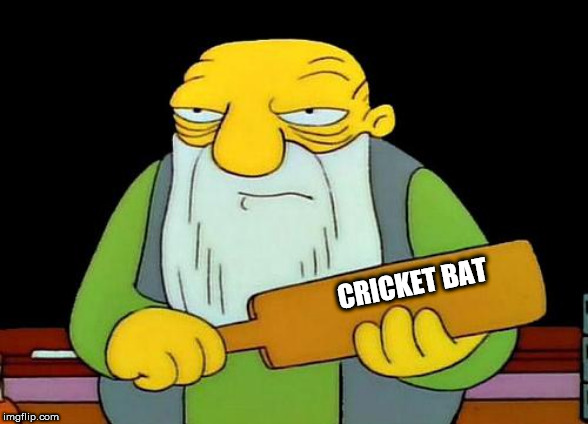 That's a paddlin' | CRICKET BAT | image tagged in memes,that's a paddlin' | made w/ Imgflip meme maker