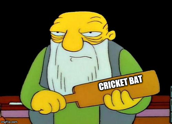 That's a paddlin' Meme | CRICKET BAT | image tagged in memes,that's a paddlin' | made w/ Imgflip meme maker