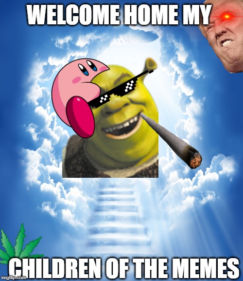 Heaven | WELCOME HOME MY; CHILDREN OF THE MEMES | image tagged in memes,heaven | made w/ Imgflip meme maker