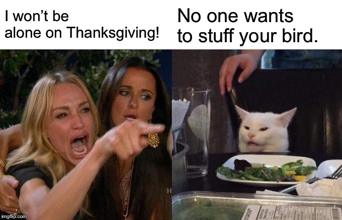 Woman Yelling At Cat | I won’t be alone on Thanksgiving! No one wants to stuff your bird. | image tagged in memes,woman yelling at cat | made w/ Imgflip meme maker