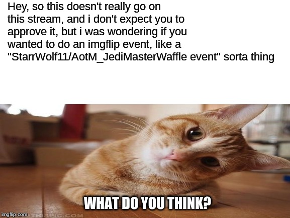 Hey, so this doesn't really go on this stream, and i don't expect you to approve it, but i was wondering if you wanted to do an imgflip event, like a "StarrWolf11/AotM_JediMasterWaffle event" sorta thing; WHAT DO YOU THINK? | made w/ Imgflip meme maker