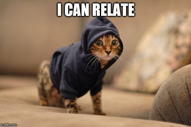 Hoody Cat Meme | I CAN RELATE | image tagged in memes,hoody cat | made w/ Imgflip meme maker