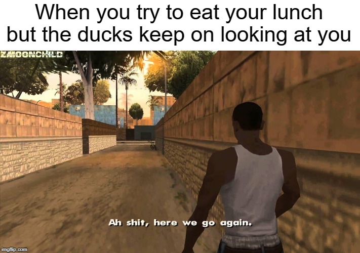 Ah shit | When you try to eat your lunch but the ducks keep on looking at you | image tagged in here we go again,ah shit here we go again,funny,memes,lunch,ducks | made w/ Imgflip meme maker