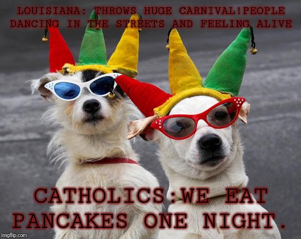 dogs mardi gras | LOUISIANA: THROWS HUGE CARNIVAL!PEOPLE DANCING IN THE STREETS AND FEELING ALIVE; CATHOLICS:WE EAT PANCAKES ONE NIGHT. | image tagged in dogs mardi gras | made w/ Imgflip meme maker