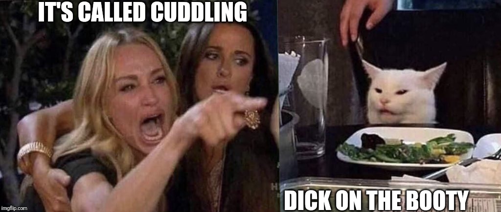 woman yelling at cat | IT'S CALLED CUDDLING; DICK ON THE BOOTY | image tagged in woman yelling at cat | made w/ Imgflip meme maker