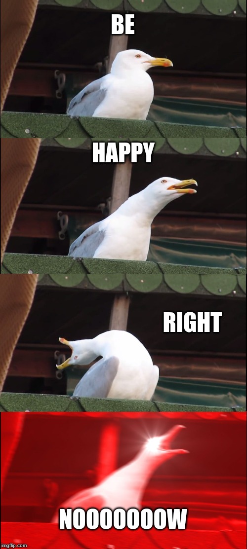 Inhaling Seagull | BE; HAPPY; RIGHT; NOOOOOOOW | image tagged in memes,inhaling seagull | made w/ Imgflip meme maker