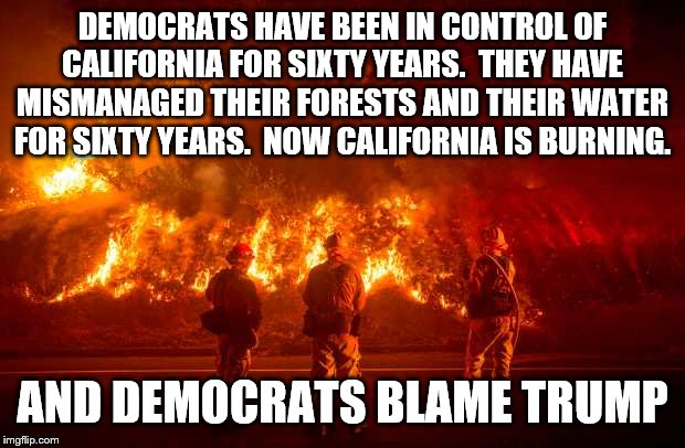 Democrats will always blame Trump | DEMOCRATS HAVE BEEN IN CONTROL OF CALIFORNIA FOR SIXTY YEARS.  THEY HAVE MISMANAGED THEIR FORESTS AND THEIR WATER FOR SIXTY YEARS.  NOW CALIFORNIA IS BURNING. AND DEMOCRATS BLAME TRUMP | image tagged in california fires,california legislature,democrats,trump,mismanaged | made w/ Imgflip meme maker