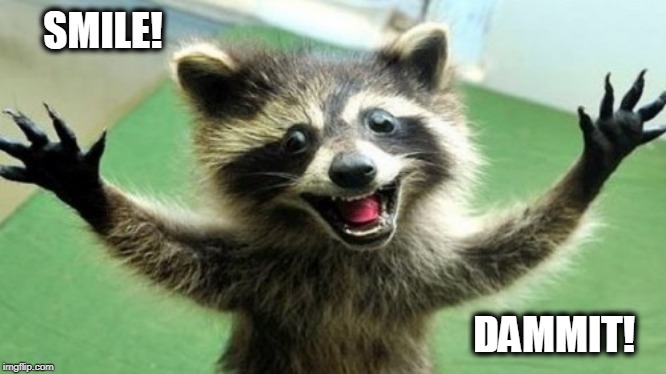 Just in case ya needed this... | SMILE! DAMMIT! | image tagged in smile,raccoon,raccoon meme,be happy | made w/ Imgflip meme maker