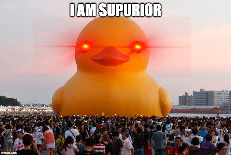 duks | I AM SUPURIOR | image tagged in superior,funny,memes,ducks | made w/ Imgflip meme maker