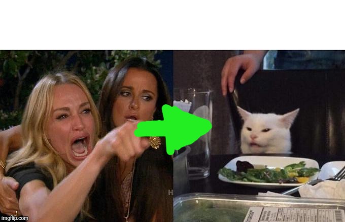 Woman Yelling At Cat Meme | image tagged in memes,woman yelling at cat | made w/ Imgflip meme maker