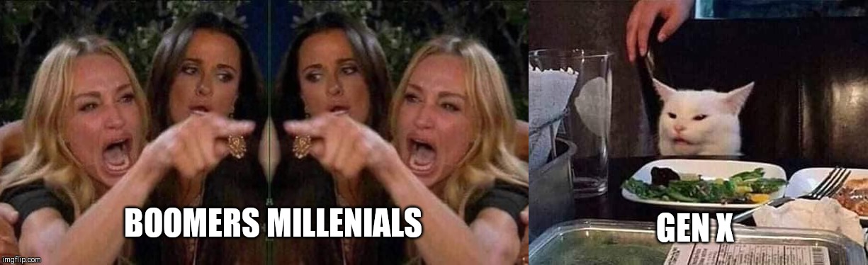 Generation war | GEN X; BOOMERS MILLENIALS | image tagged in millennials,baby boomers,woman yelling at cat | made w/ Imgflip meme maker