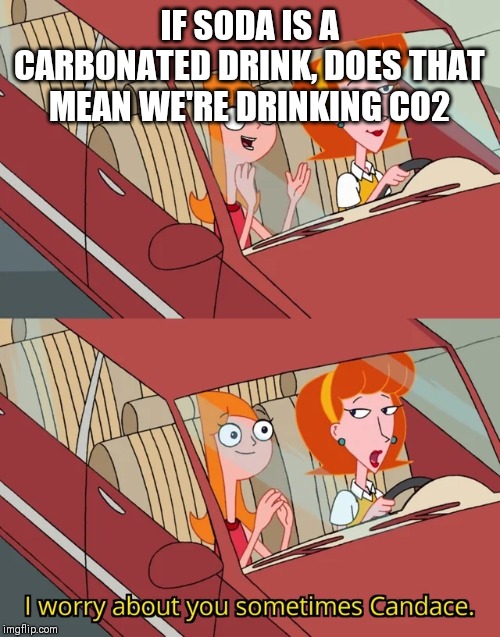 I worry about you sometimes Candace | IF SODA IS A CARBONATED DRINK, DOES THAT MEAN WE'RE DRINKING CO2 | image tagged in i worry about you sometimes candace | made w/ Imgflip meme maker