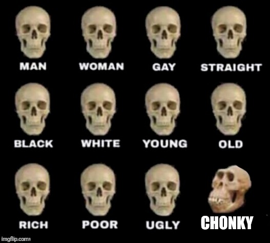 idiot skull | CHONKY | image tagged in idiot skull | made w/ Imgflip meme maker