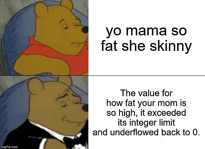 Reupload because of a spelling error. | yo mama so fat she skinny; The value for how fat your mom is so high, it exceeded its integer limit and underflowed back to 0. | image tagged in memes,tuxedo winnie the pooh | made w/ Imgflip meme maker