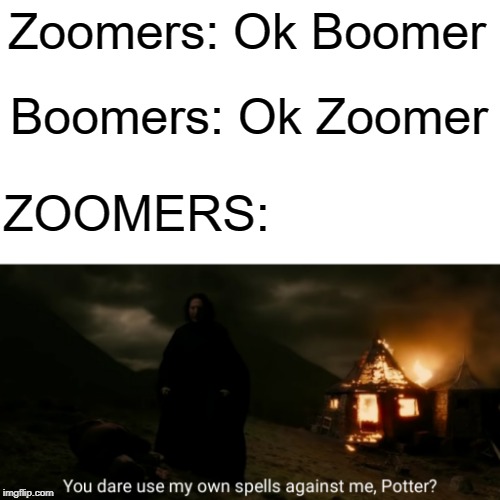 Snape the zoomer | Zoomers: Ok Boomer; Boomers: Ok Zoomer; ZOOMERS: | image tagged in you dare use my own spells against me,harry potter,ok boomer,millennials | made w/ Imgflip meme maker