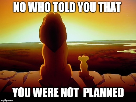 Lion King Meme | NO WHO TOLD YOU THAT; YOU WERE NOT  PLANNED | image tagged in memes,lion king | made w/ Imgflip meme maker