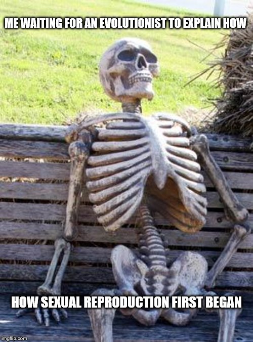 Waiting Skeleton | ME WAITING FOR AN EVOLUTIONIST TO EXPLAIN HOW; HOW SEXUAL REPRODUCTION FIRST BEGAN | image tagged in memes,waiting skeleton | made w/ Imgflip meme maker