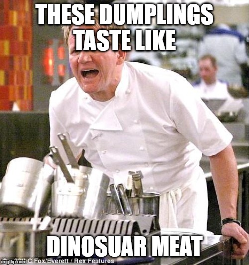 Chef Gordon Ramsay Meme | THESE DUMPLINGS TASTE LIKE; DINOSUAR MEAT | image tagged in memes,chef gordon ramsay | made w/ Imgflip meme maker