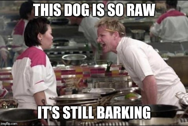 Angry Chef Gordon Ramsay Meme | THIS DOG IS SO RAW; IT'S STILL BARKING | image tagged in memes,angry chef gordon ramsay | made w/ Imgflip meme maker