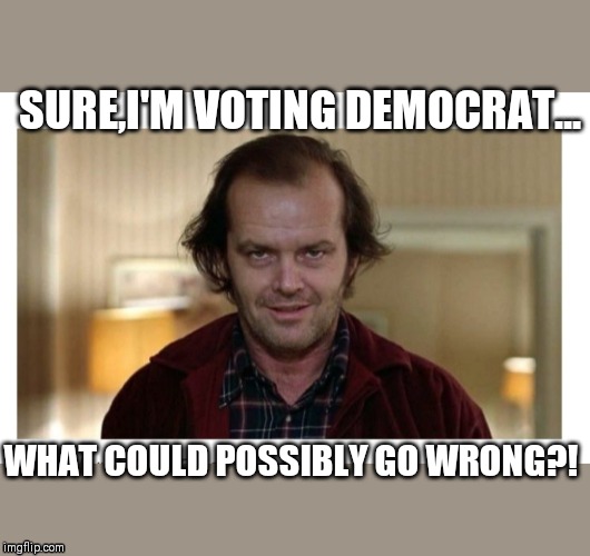 SURE,I'M VOTING DEMOCRAT... WHAT COULD POSSIBLY GO WRONG?! | image tagged in democrats | made w/ Imgflip meme maker