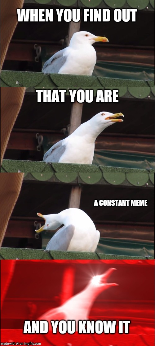 Inhaling Seagull Meme | WHEN YOU FIND OUT; THAT YOU ARE; A CONSTANT MEME; AND YOU KNOW IT | image tagged in memes,inhaling seagull | made w/ Imgflip meme maker