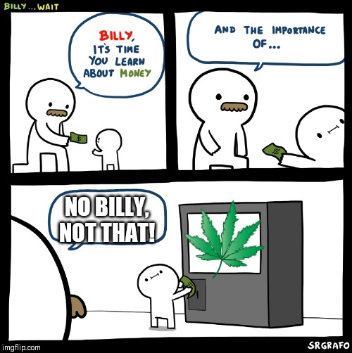 Billy no | NO BILLY, NOT THAT! | image tagged in billy no | made w/ Imgflip meme maker