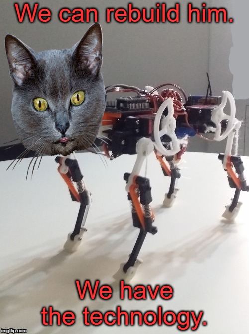 The Six Million Dollar Cat | We can rebuild him. We have the technology. | image tagged in robocat,the six million dollar man,cat,memes | made w/ Imgflip meme maker