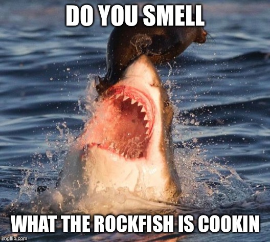 Travelonshark Meme | DO YOU SMELL; WHAT THE ROCKFISH IS COOKIN | image tagged in memes,travelonshark | made w/ Imgflip meme maker