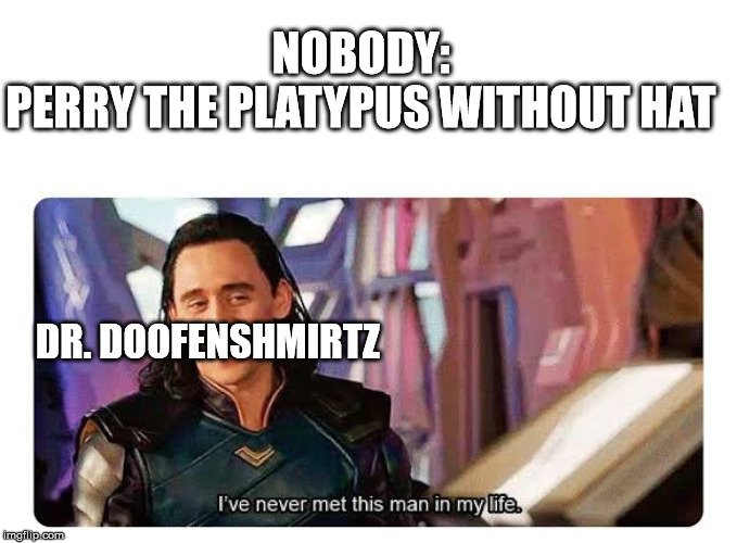 Classic one. |  NOBODY:
PERRY THE PLATYPUS WITHOUT HAT; DR. DOOFENSHMIRTZ | image tagged in i never met this man in my life,memes,phineas and ferb,doofenshmirtz | made w/ Imgflip meme maker