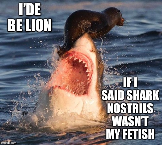 Travelonshark Meme | I’DE BE LION; IF I SAID SHARK NOSTRILS WASN’T MY FETISH | image tagged in memes,travelonshark | made w/ Imgflip meme maker