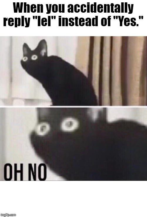 Oh no cat | When you accidentally reply "lel" instead of "Yes." | image tagged in oh no cat | made w/ Imgflip meme maker