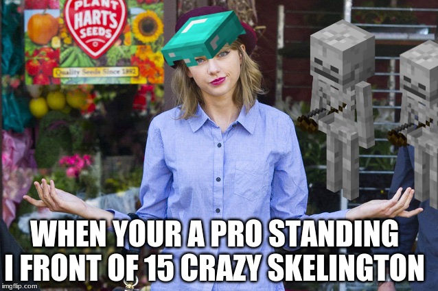Taylor Swift Shrug | WHEN YOUR A PRO STANDING I FRONT OF 15 CRAZY SKELINGTON | image tagged in taylor swift shrug | made w/ Imgflip meme maker