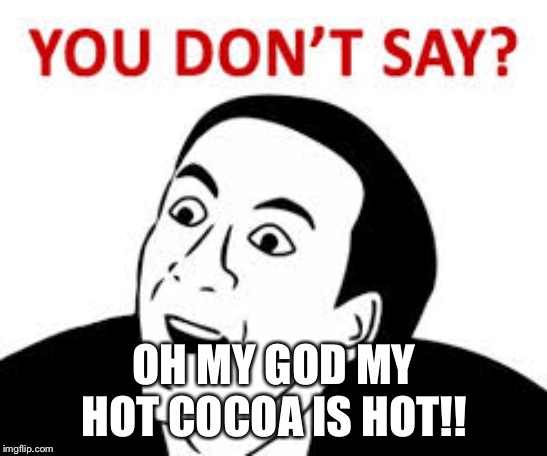 You don’t say  | OH MY GOD MY HOT COCOA IS HOT!! | image tagged in you dont say | made w/ Imgflip meme maker