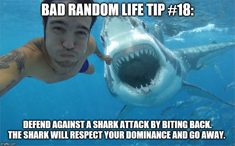 shark attack | BAD RANDOM LIFE TIP #18:; DEFEND AGAINST A SHARK ATTACK BY BITING BACK. THE SHARK WILL RESPECT YOUR DOMINANCE AND GO AWAY. | image tagged in shark attack | made w/ Imgflip meme maker