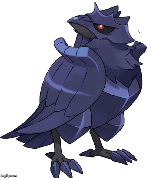 did i stutter corviknight | image tagged in did i stutter corviknight | made w/ Imgflip meme maker