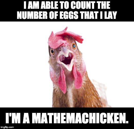 Disbelief Chicken | I AM ABLE TO COUNT THE NUMBER OF EGGS THAT I LAY; I'M A MATHEMACHICKEN. | image tagged in disbelief chicken | made w/ Imgflip meme maker