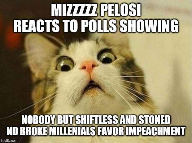 Pelosi adopting bug eyed shifffft look | MIZZZZZ PELOSI REACTS TO POLLS SHOWING; NOBODY BUT SHIFTLESS AND STONED ND BROKE MILLENIALS FAVOR IMPEACHMENT | image tagged in nancy pelosi wtf,adam schiff,idiots,stupid liberals,maga,president trump | made w/ Imgflip meme maker