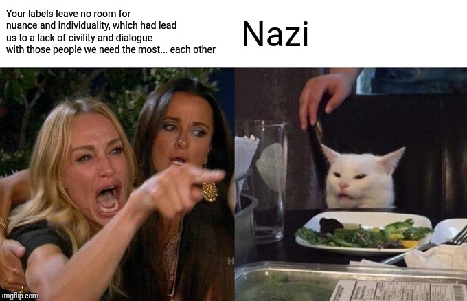 Woman Yelling At Cat | Your labels leave no room for nuance and individuality, which had lead us to a lack of civility and dialogue with those people we need the most... each other; Nazi | image tagged in memes,woman yelling at cat | made w/ Imgflip meme maker