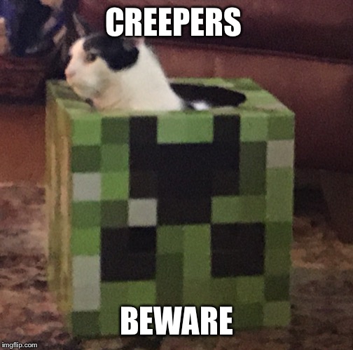 CREEPERS; BEWARE | image tagged in memes | made w/ Imgflip meme maker