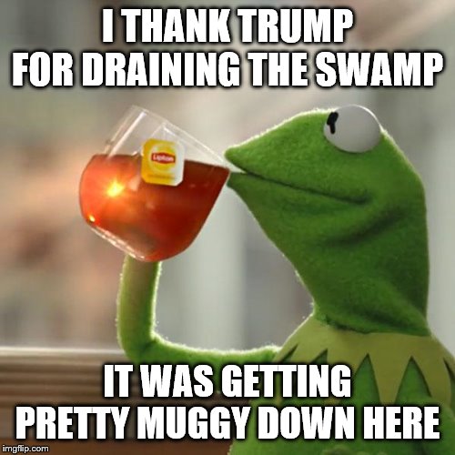 Save a frog, Drain the swamp | I THANK TRUMP FOR DRAINING THE SWAMP; IT WAS GETTING PRETTY MUGGY DOWN HERE | image tagged in memes,but thats none of my business,kermit the frog | made w/ Imgflip meme maker