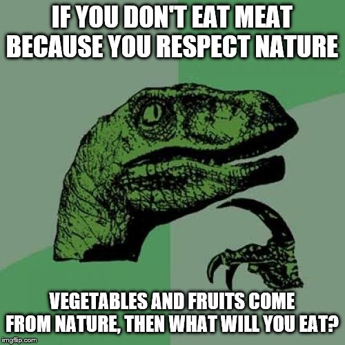 Philosoraptor Meme | IF YOU DON'T EAT MEAT BECAUSE YOU RESPECT NATURE VEGETABLES AND FRUITS COME FROM NATURE, THEN WHAT WILL YOU EAT? | image tagged in memes,philosoraptor | made w/ Imgflip meme maker