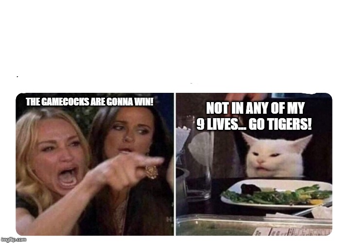 Housewives cat | NOT IN ANY OF MY 9 LIVES... GO TIGERS! THE GAMECOCKS ARE GONNA WIN! | image tagged in housewives cat | made w/ Imgflip meme maker