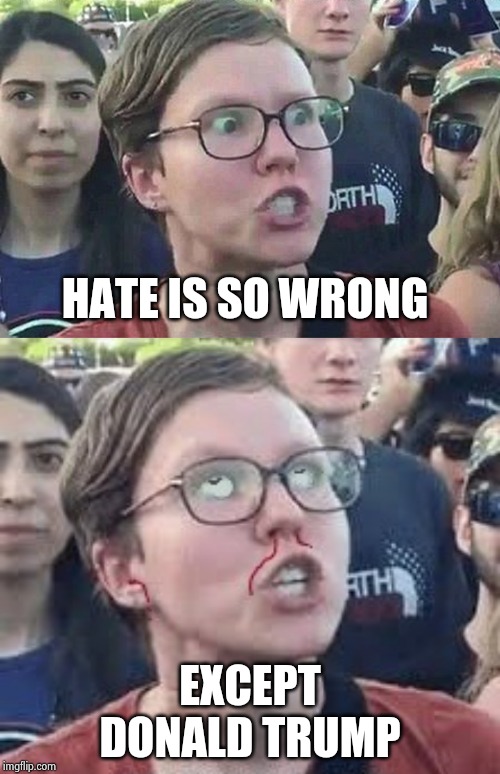"If you want money for people with minds that hate all I can tell you is , Brother , you have to wait"- John Lennon | HATE IS SO WRONG; EXCEPT DONALD TRUMP | image tagged in triggered liberal,triggering intensifies,party of hate,haters gonna hate,love is love,hate is blind | made w/ Imgflip meme maker