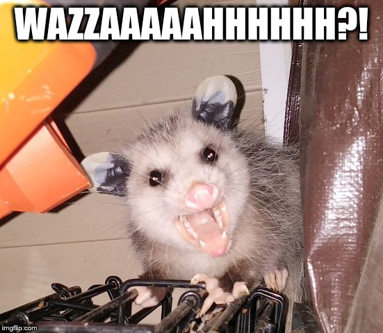 Wazzup? | WAZZAAAAAHHHHHH?! | image tagged in wazzup | made w/ Imgflip meme maker