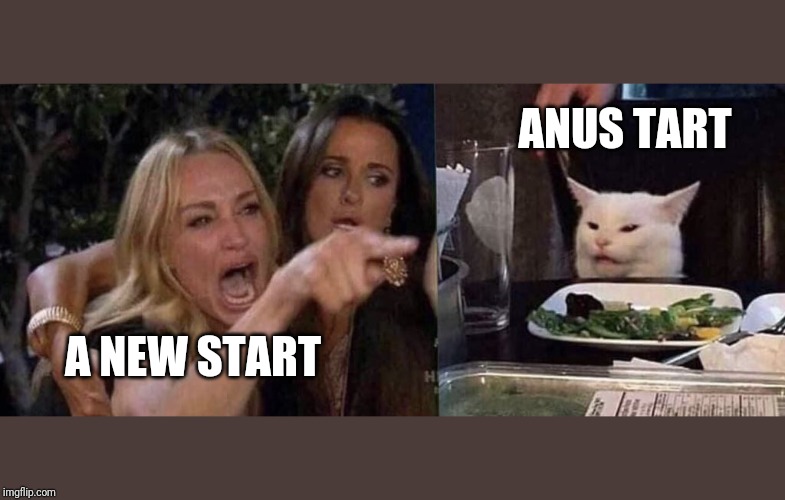 woman yelling at cat | ANUS TART; A NEW START | image tagged in woman yelling at cat | made w/ Imgflip meme maker