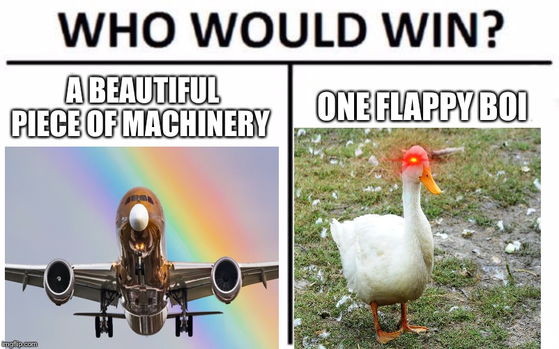 Who Would Win? Meme | A BEAUTIFUL PIECE OF MACHINERY; ONE FLAPPY BOI | image tagged in memes,who would win | made w/ Imgflip meme maker