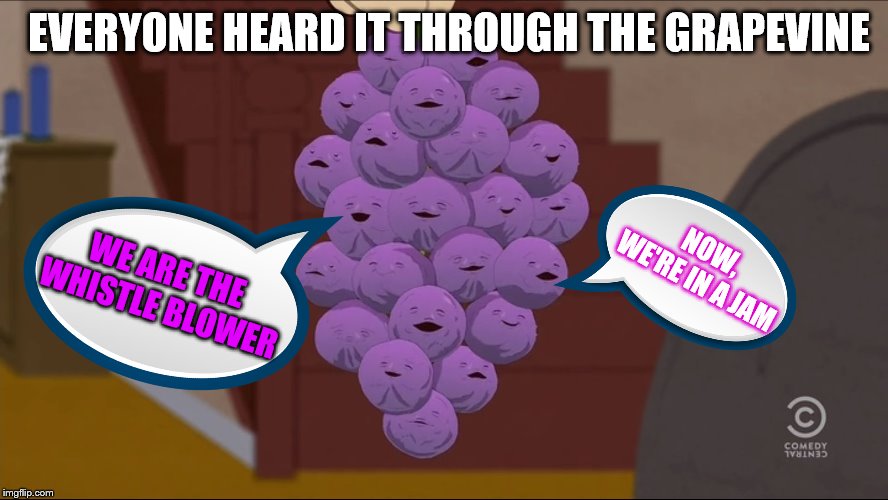 Heard it through the grapevine | EVERYONE HEARD IT THROUGH THE GRAPEVINE; NOW, WE'RE IN A JAM; WE ARE THE 
WHISTLE BLOWER | image tagged in memes,member berries,politics | made w/ Imgflip meme maker